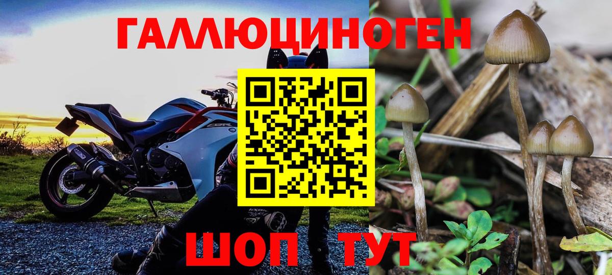 Обнинск  Псилоцибиновые грибы мухоморы  Вход с VPN 